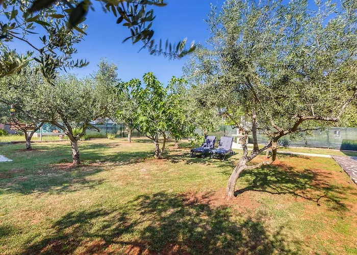 Awesome In With Wifi Vakantiehuis